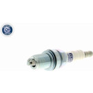 V99-75-0019 Zündkerze Q+, Erstausrüsterqualität V99-75-0019 Zündkerze Q+, Erstausrüsterqualität
