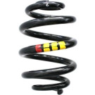 Spidan | Fahrwerksfeder | 86865