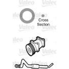 Valeo | Dichtung, Kühlmittelrohrleitung | 509749