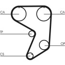 CT900 Zahnriemen CT900 Zahnriemen