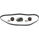 FEBI BILSTEIN 45966 Keilrippenriemensatz