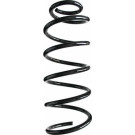 Spidan | Fahrwerksfeder | 55758