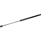 FEBI BILSTEIN 171920 Gasfeder, Koffer-/Laderaum