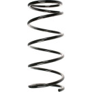 Spidan | Fahrwerksfeder | 55040