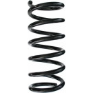 Spidan | Fahrwerksfeder | 87032