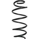 Spidan | Fahrwerksfeder | 87606
