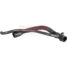 2422081 Kühlerschlauch