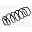 4237231 Fahrwerksfeder