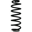 Spidan | Fahrwerksfeder | 87370