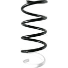 Spidan | Fahrwerksfeder | 87046