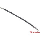 Brembo | Bremsschlauch | T 23 130