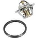 NRF | Thermostat, Kühlmittel | 725065