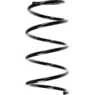 Spidan | Fahrwerksfeder | 49387