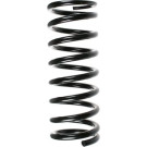 Spidan | Fahrwerksfeder | 48169