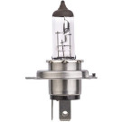 Hella | Glühlampe, Hauptscheinwerfer | 8GJ 007 255-123