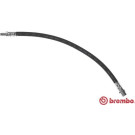 Brembo | Bremsschlauch | T 50 025