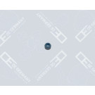 OE Germany | Dichtring, Ventilschaft | 02 3006 200000