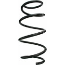 Spidan | Fahrwerksfeder | 87587