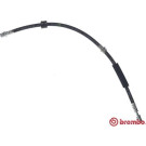 Brembo | Bremsschlauch | T 85 144