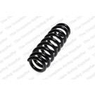 4208456 Fahrwerksfeder