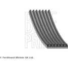 Blue Print | Keilrippenriemen | AD07R1240 Blue Print | Keilrippenriemen | AD07R1240