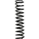 Spidan | Fahrwerksfeder | 48670
