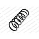 4295839 Fahrwerksfeder