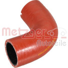 2401236 Ladeluftschlauch