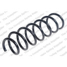 4208482 Fahrwerksfeder