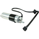 2250027 Kraftstoffpumpe