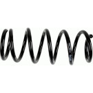 994 435 Fahrwerksfeder