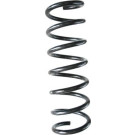 Spidan | Fahrwerksfeder | 88422