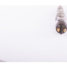 BOSCH 0 445 120 219 Einspritzdüse BOSCH 0 445 120 219 Einspritzdüse