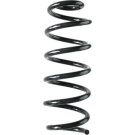 Spidan | Fahrwerksfeder | 86568