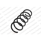 4048412 Fahrwerksfeder