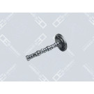 OE Germany | Nockenwelle | 01 0500 401001