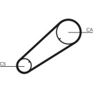 CT1004 Zahnriemen CT1004 Zahnriemen