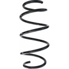 Spidan | Fahrwerksfeder | 87620