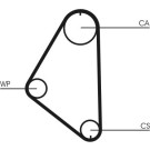 CT558 Zahnriemen CT558 Zahnriemen