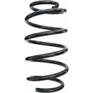 Spidan | Fahrwerksfeder | 87799