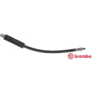 Brembo | Bremsschlauch | T 06 018