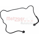 2421830 Kühlerschlauch