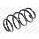 4095096 Fahrwerksfeder