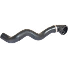 2420139 Kühlerschlauch