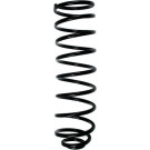 Spidan | Fahrwerksfeder | 49462