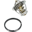 NRF | Thermostat, Kühlmittel | 725174