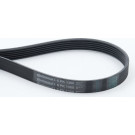 ContiTech | Keilrippenriemen | 6PK1360 ContiTech | Keilrippenriemen | 6PK1360