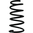 Spidan | Fahrwerksfeder | 87463
