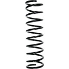 Spidan | Fahrwerksfeder | 49119