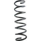 Spidan | Fahrwerksfeder | 88421